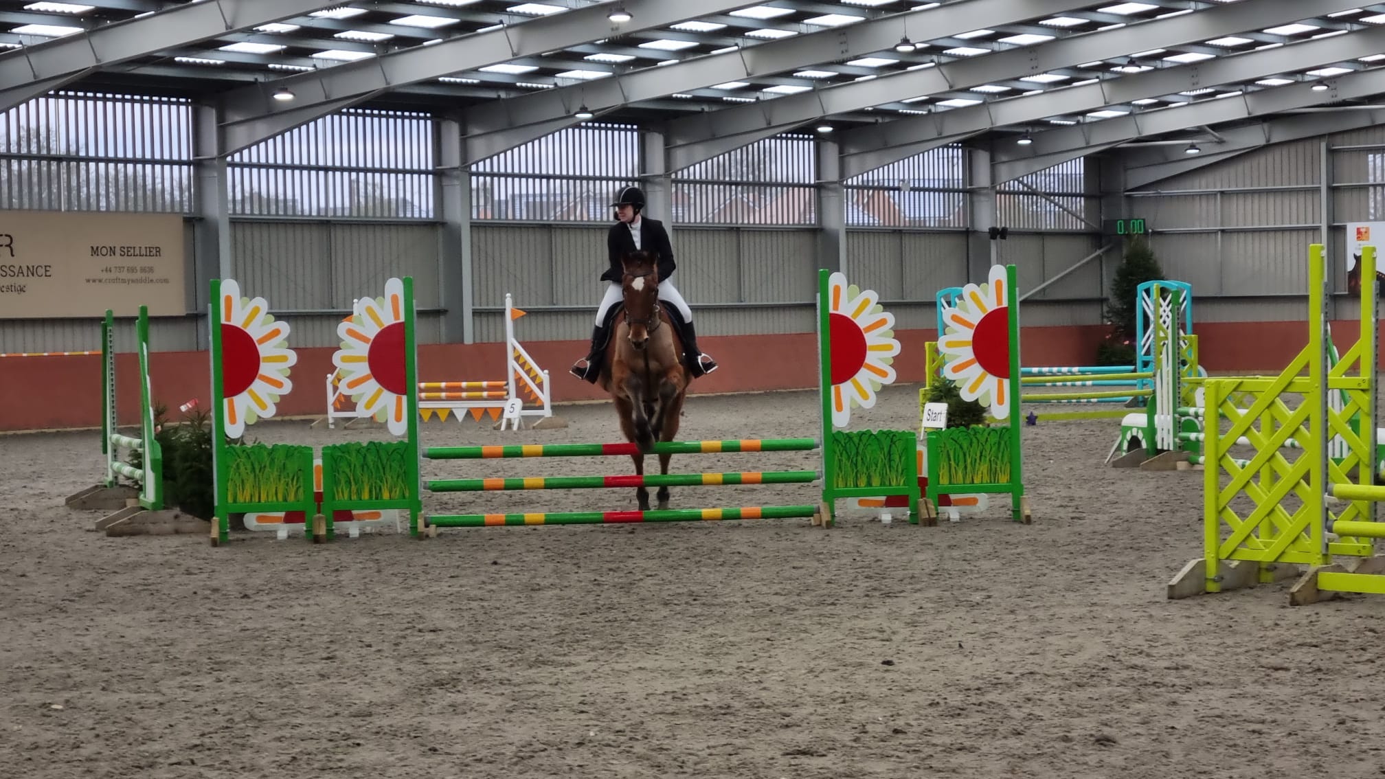 Horse jumping