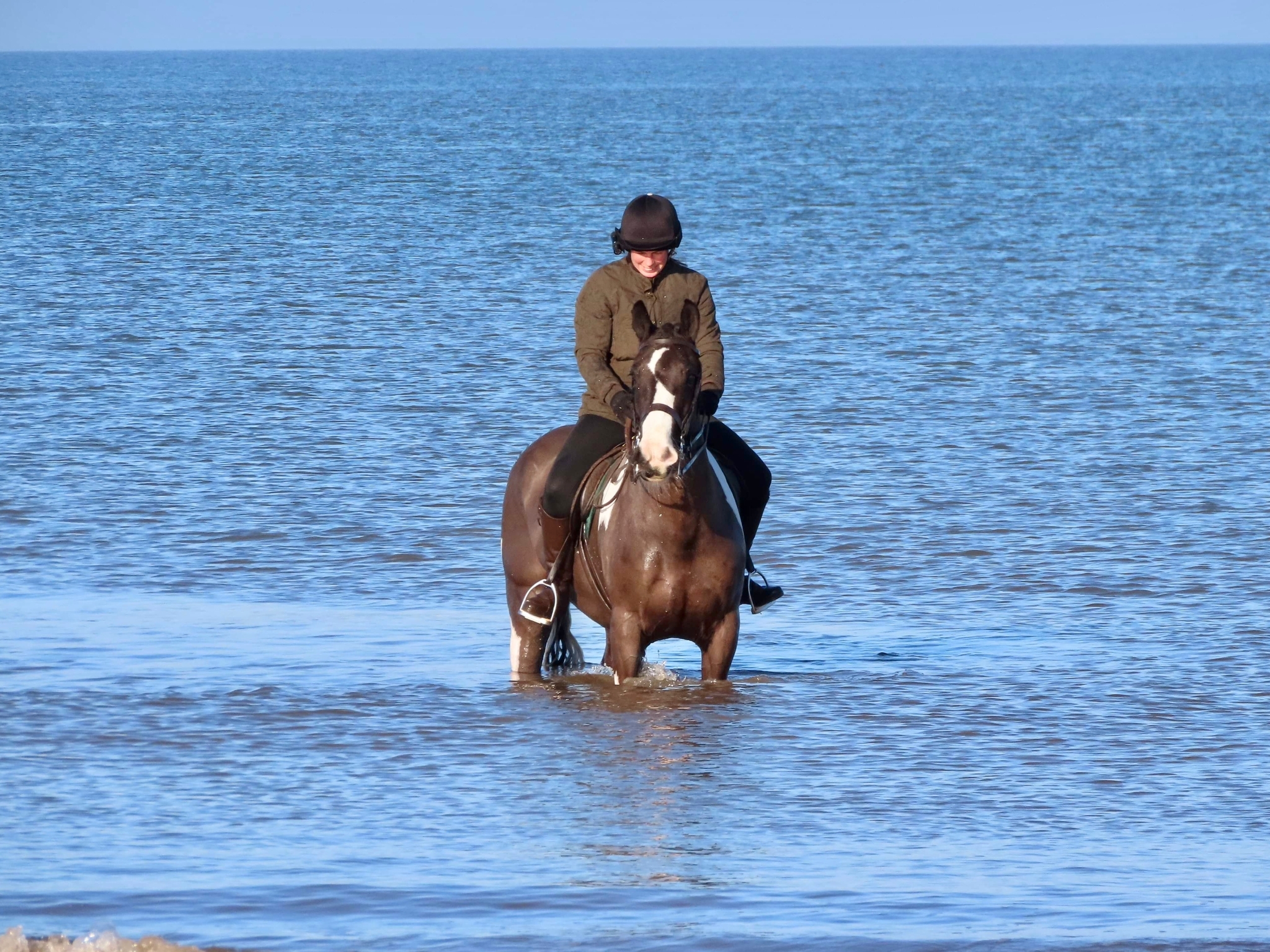 Horse by sea