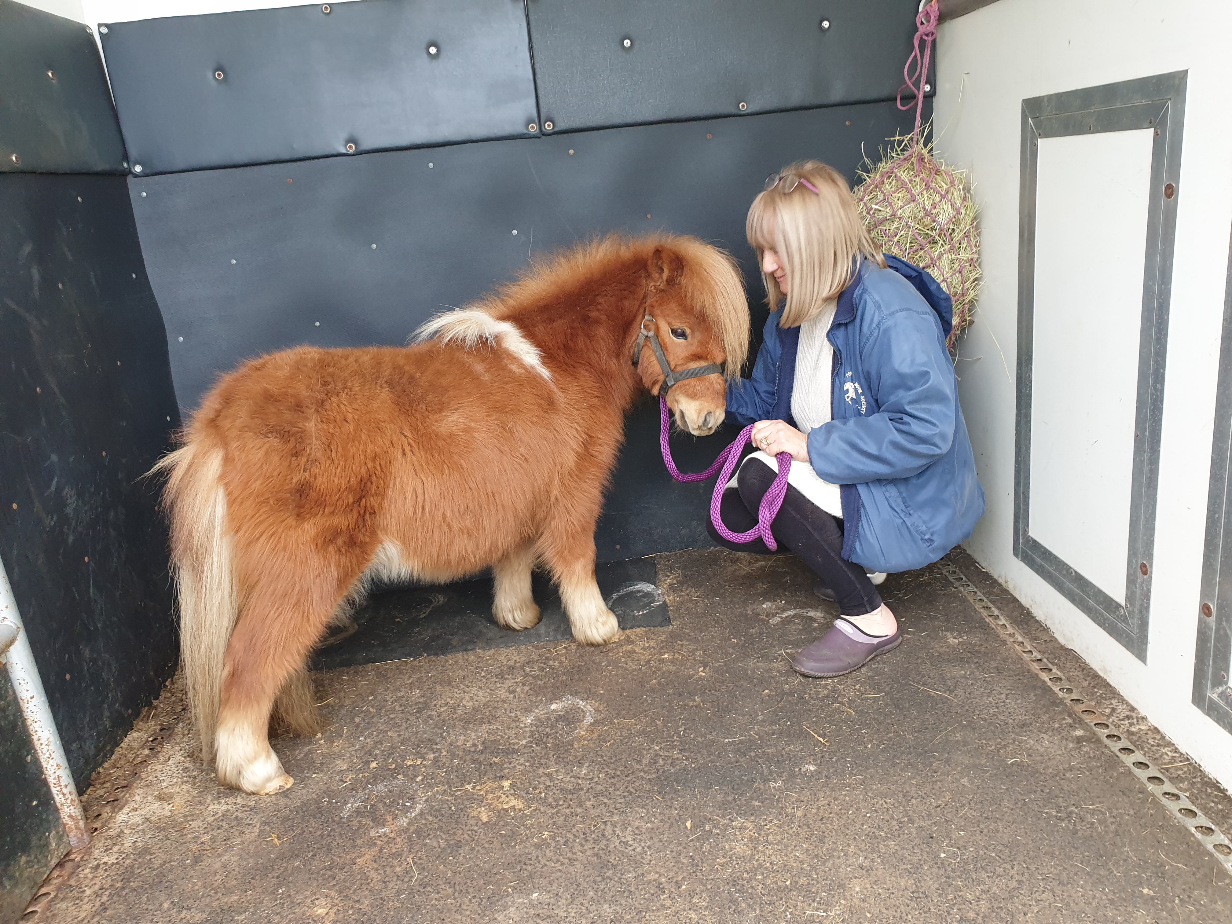 Woman and pony