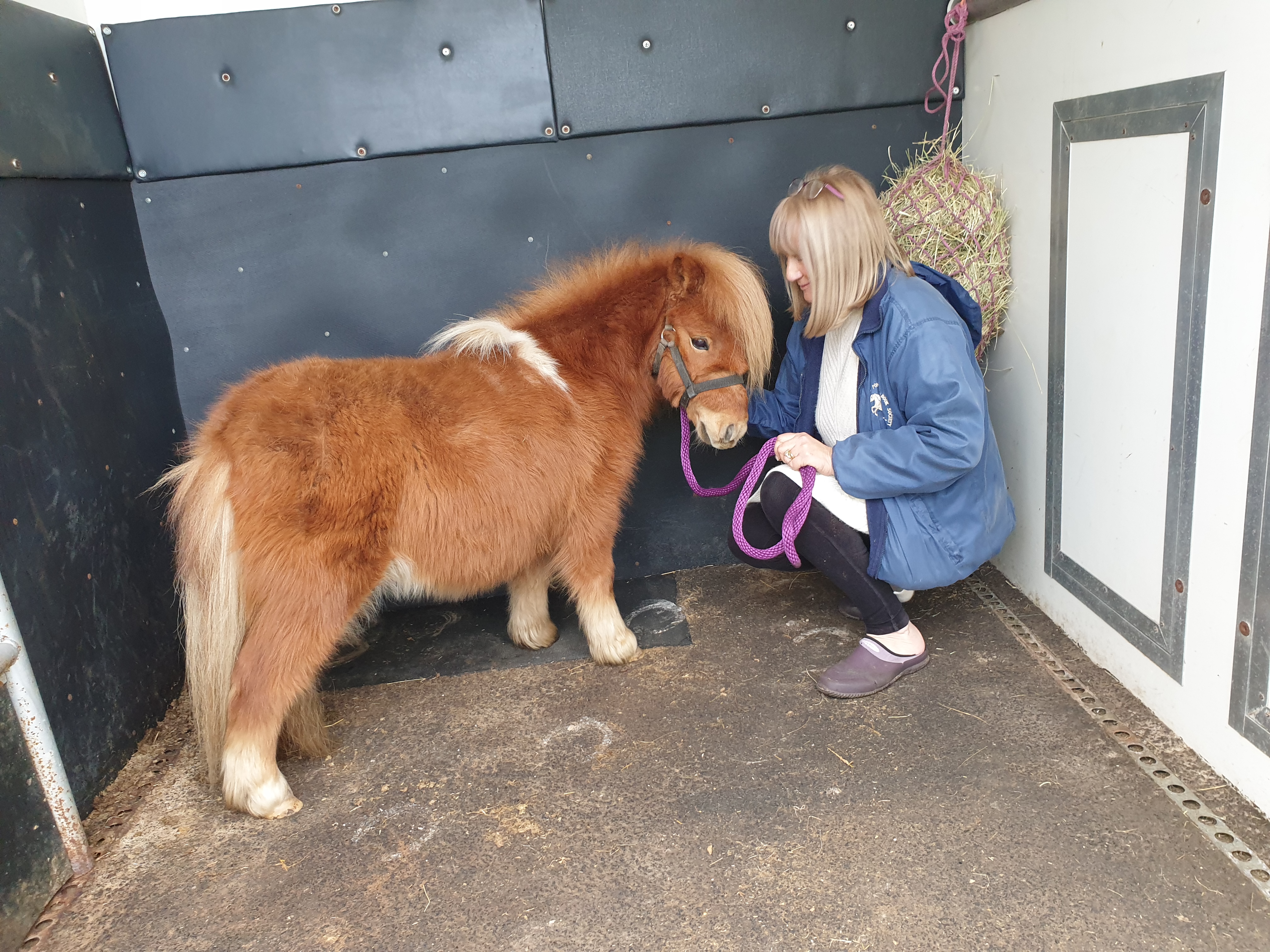 Woman and pony