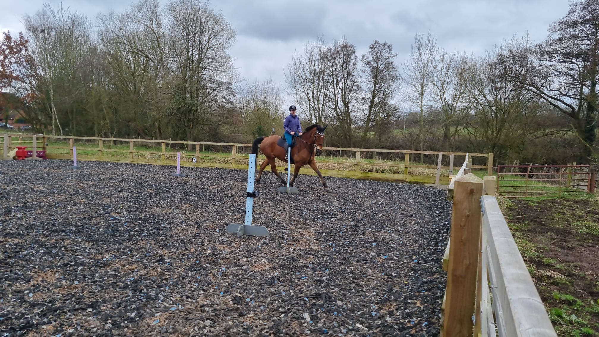 Person riding horse