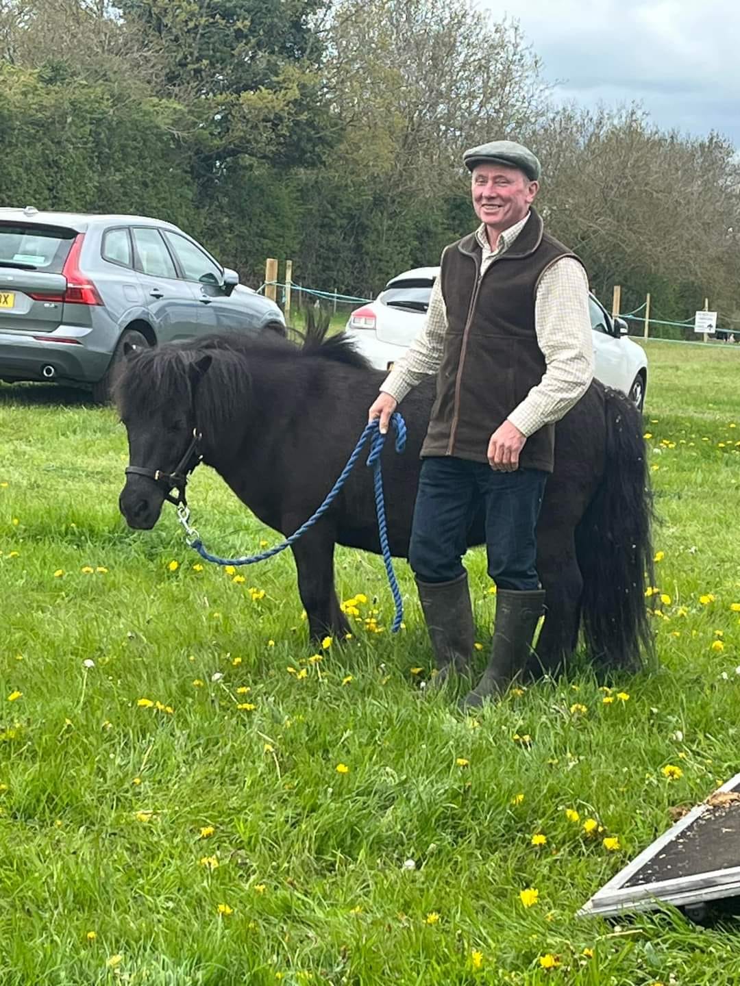 Small horse