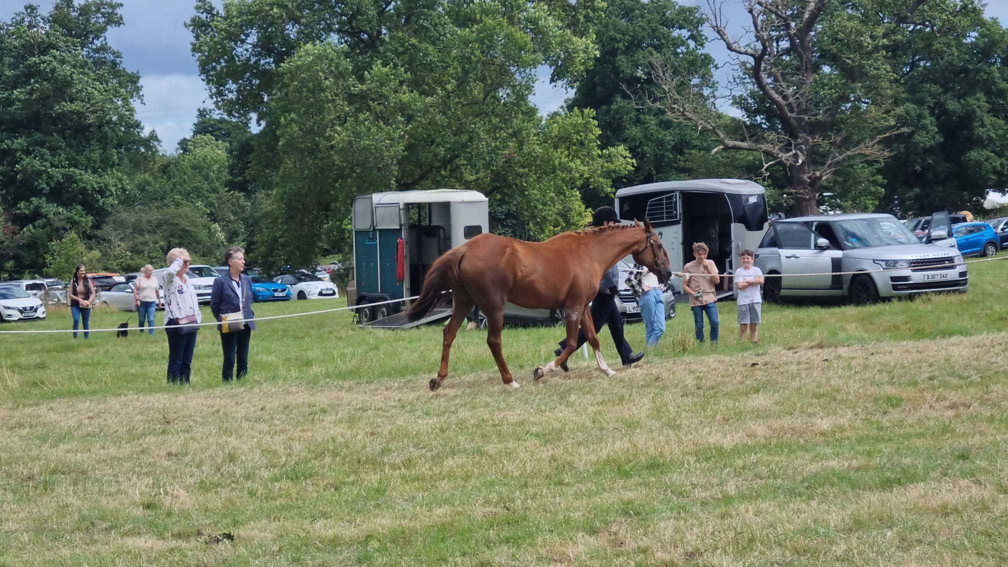 Horse competition
