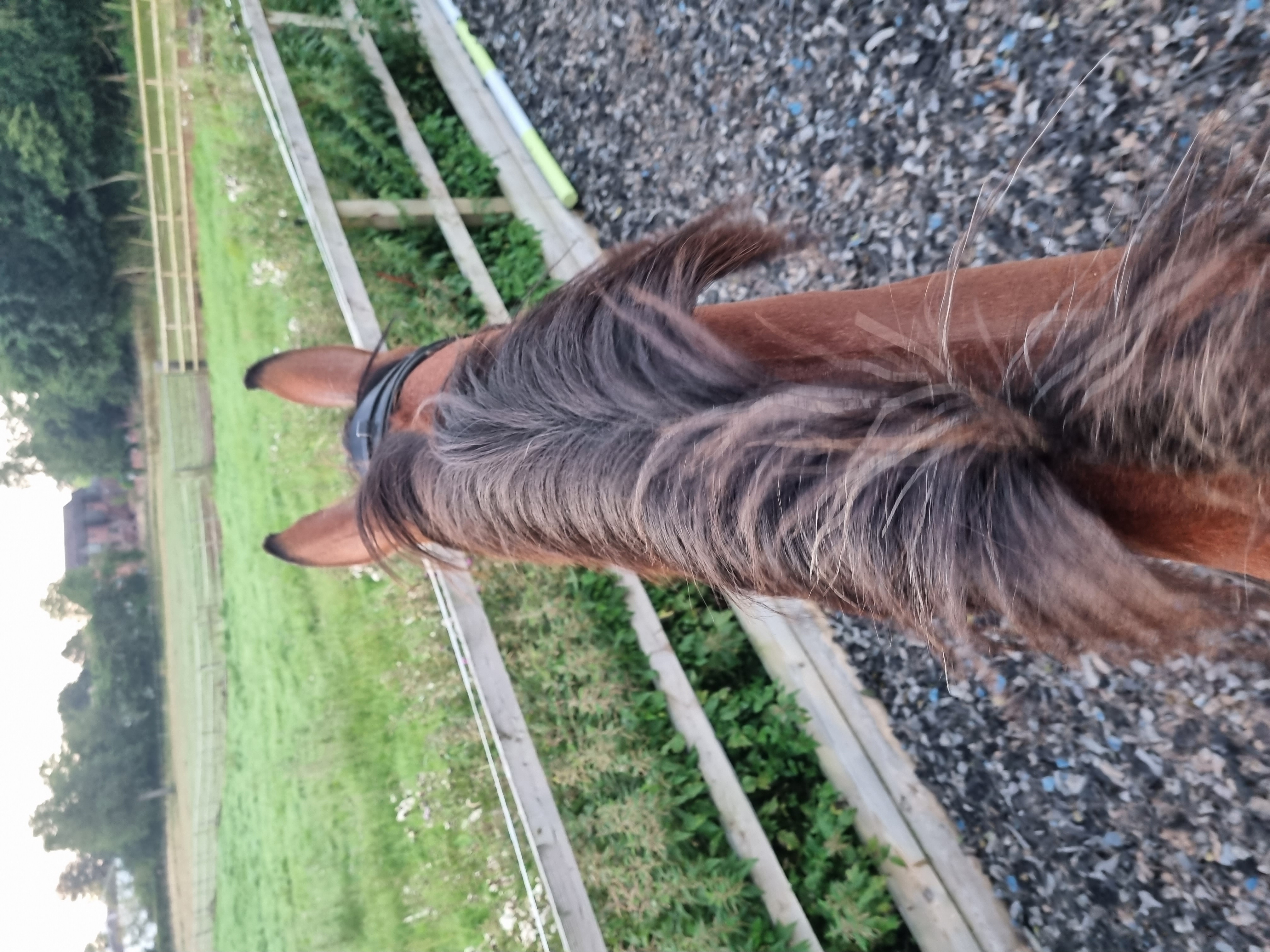 Horse riding