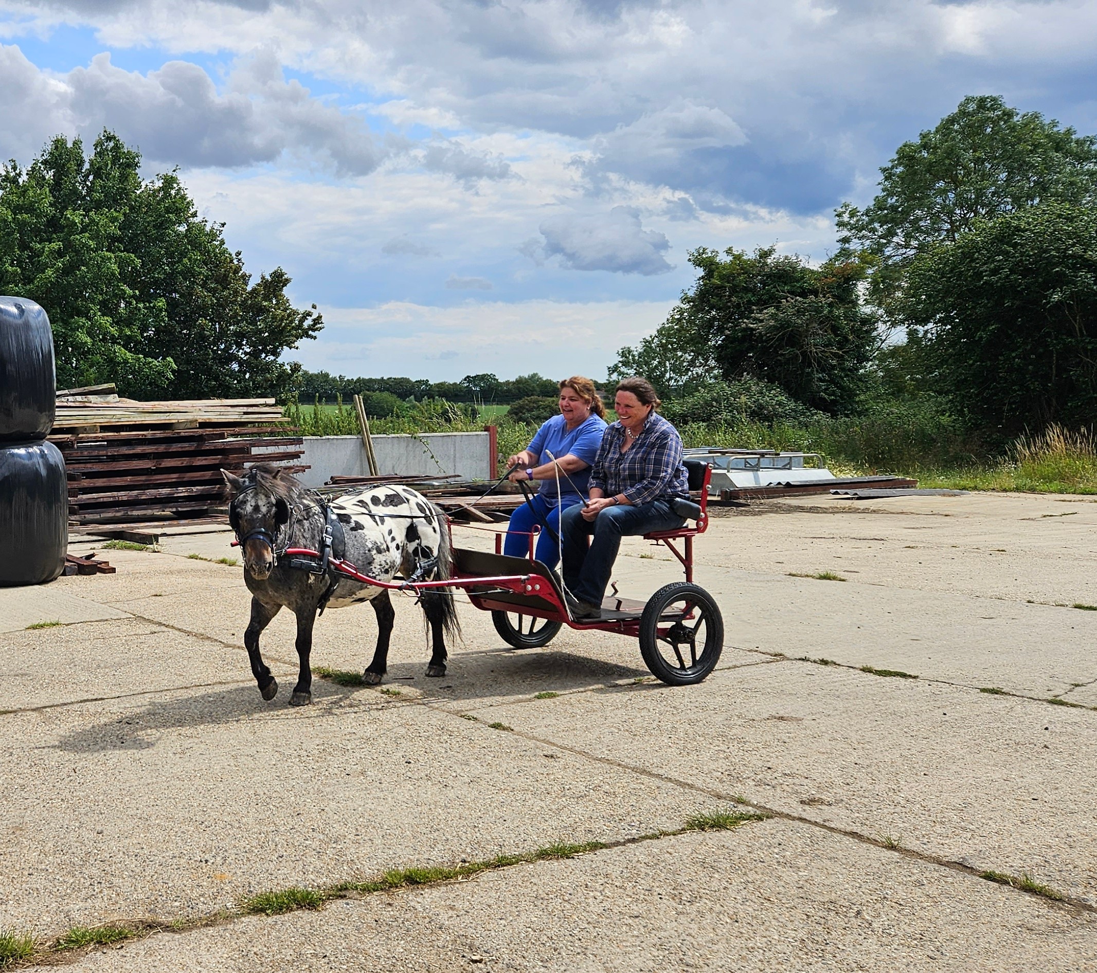 People riding carriage