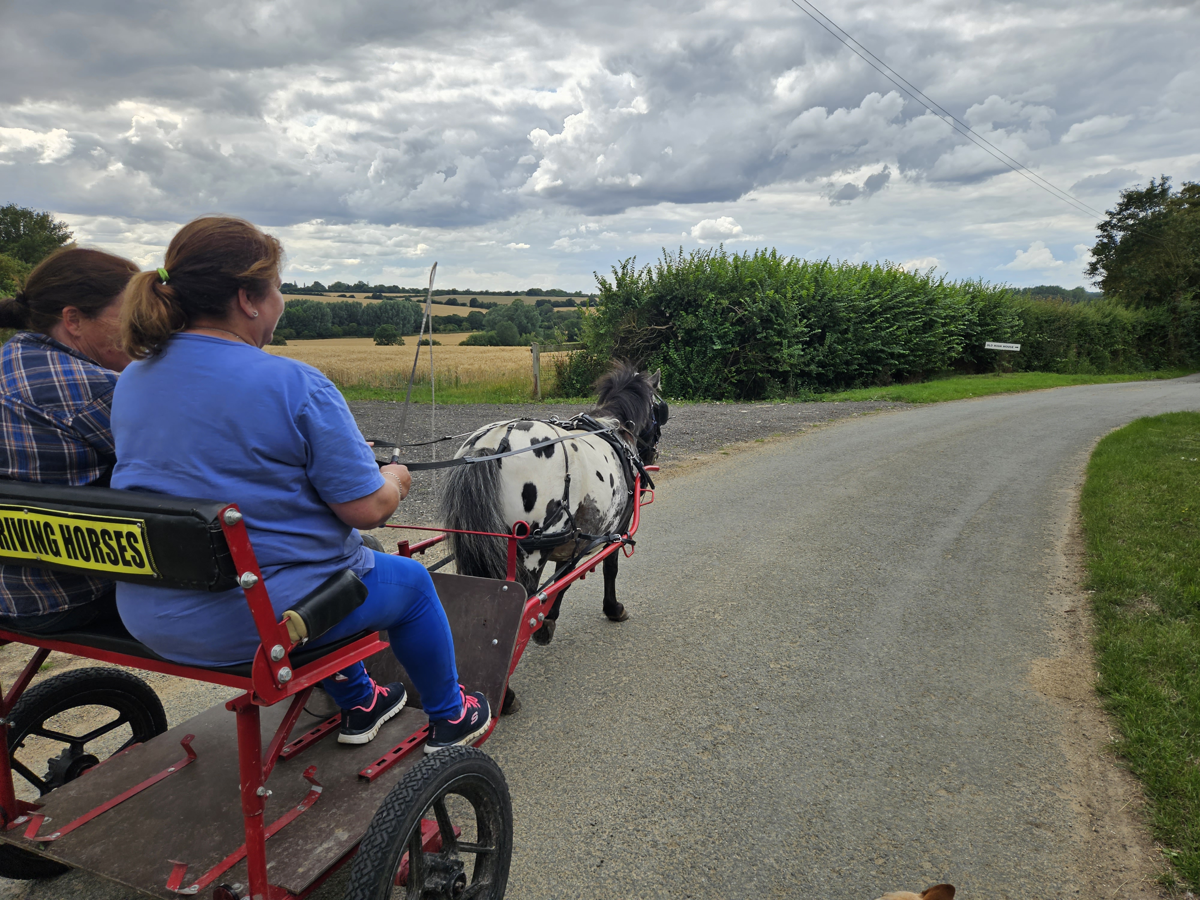 Riding horse carriage