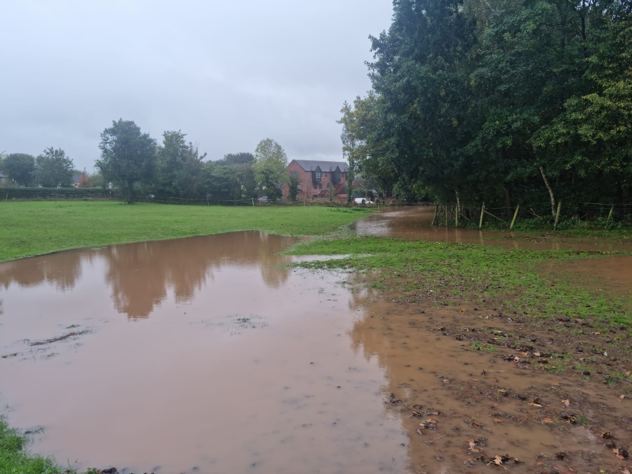 Flooded field