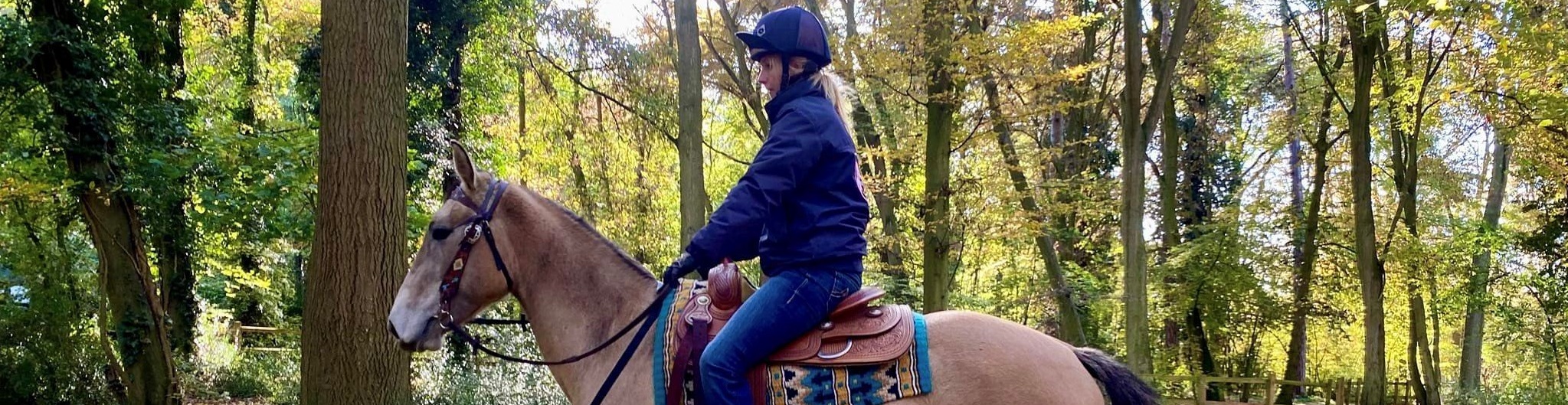 Christie’s blog – Rollercoasters are smoother than horse ownership! (part 1)
