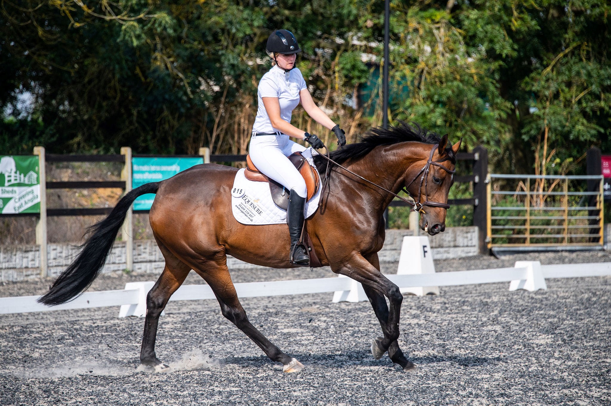 Woman on horse