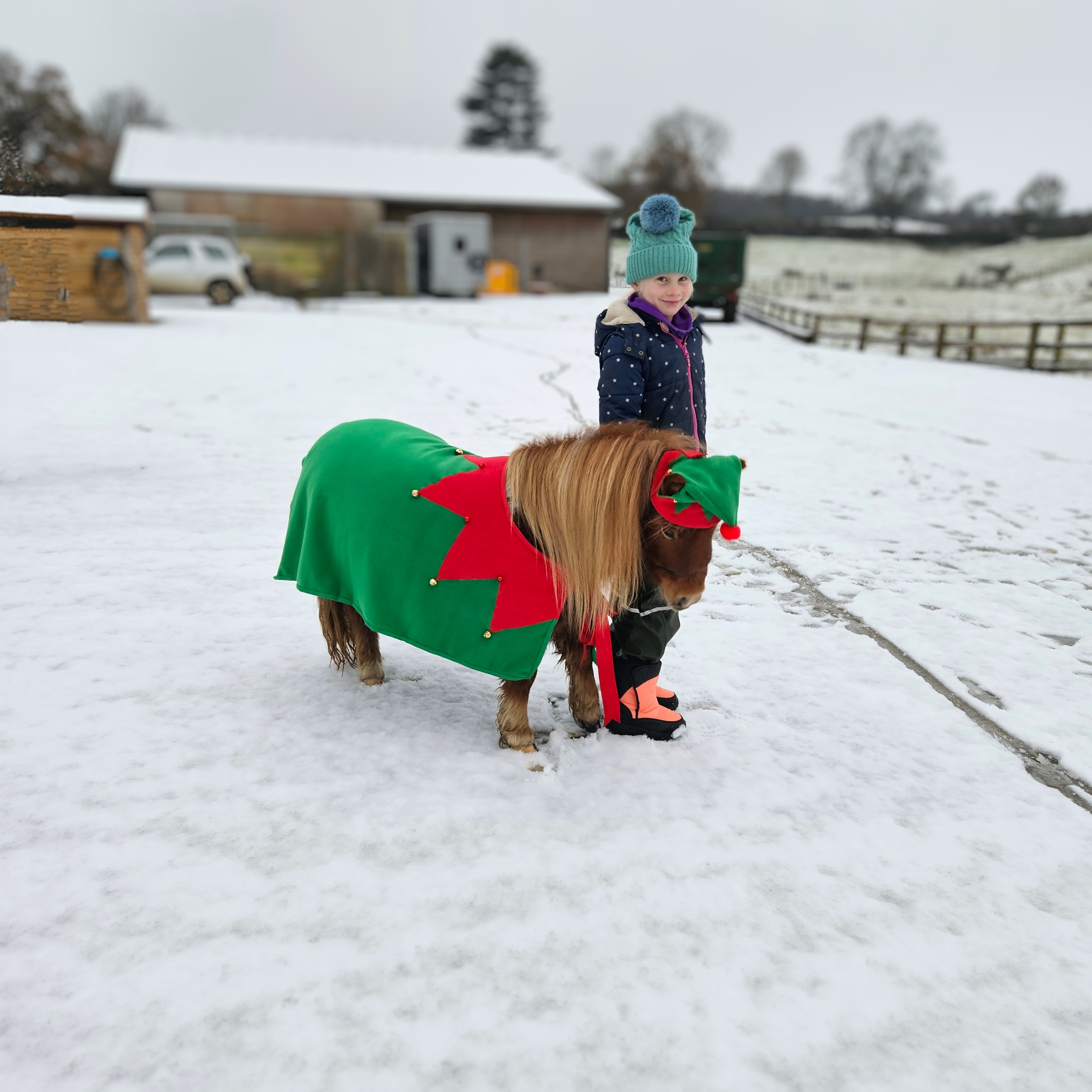 The Not-So-Secret Diary of Diva the Shetland Pony - Dressing Up Is Fun!