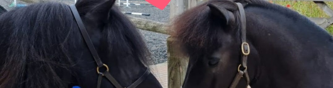 The Not-So-Secret Diary of Diva the Shetland Pony - Be My Valentine